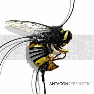 ดาวน์โหลดและฟังเพลง Creep พร้อมเนื้อเพลงจาก Antagon