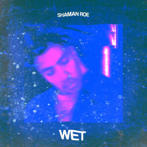 ดาวน์โหลดและฟังเพลง Wet (Explicit) พร้อมเนื้อเพลงจาก Shaman Roe