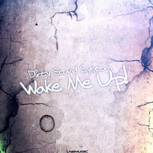 ดาวน์โหลดและฟังเพลง Wake Me Up (Red D3vils Remix Edit) พร้อมเนื้อเพลงจาก Dirty Sound System