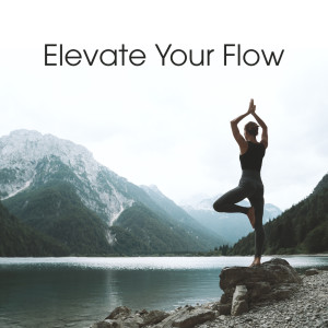 Album Elevate Your Flow (Nature's Harmony for Daily Yoga and Mindful Movements) from Spiritual Healing Music Universe