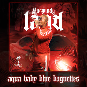 Album Aqua Baby Blue Baguettes (Explicit) from Paradise Beta