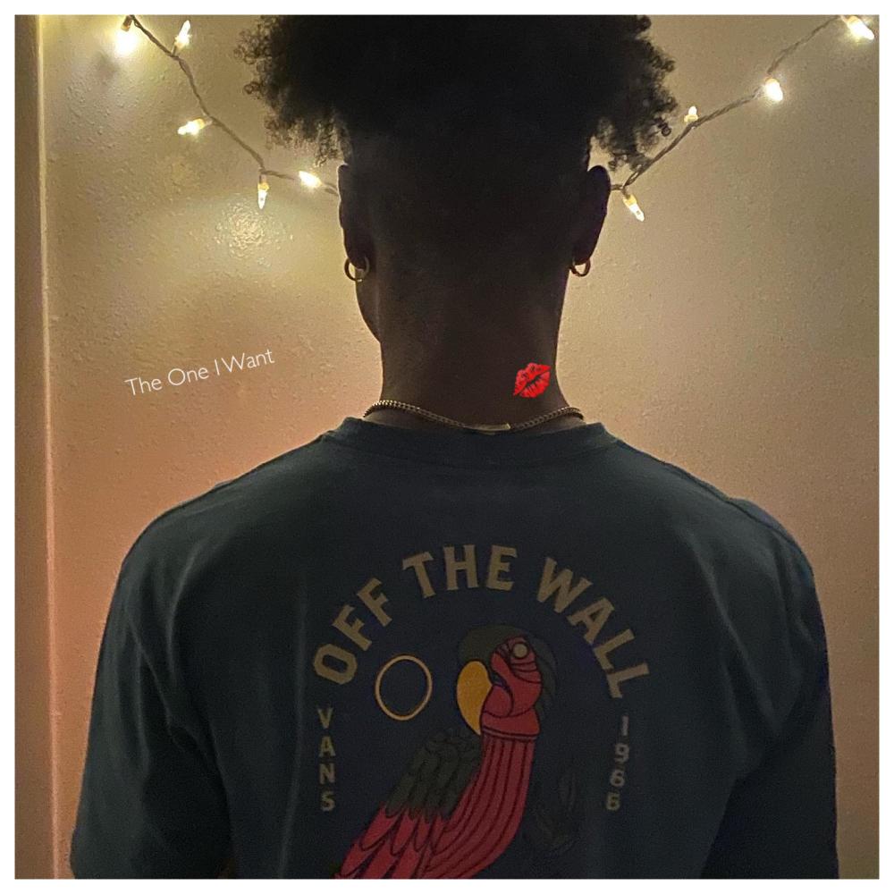 The One I Want (Explicit)