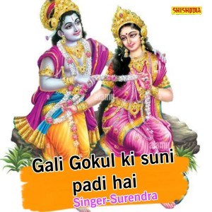 ดาวน์โหลดและฟังเพลง Gali Gokul Ki Suni Padi Hai พร้อมเนื้อเพลงจาก Surendra