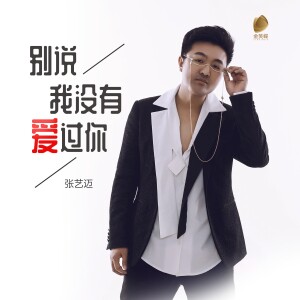 Album 别说我没有爱过你 from 张艺迈