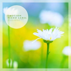 Album The Happy Emotional Piano Of And Listen To Meditation from 