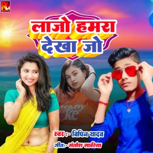 Listen to Lajo Hamara Dekho Jo song with lyrics from Vipin Yadav