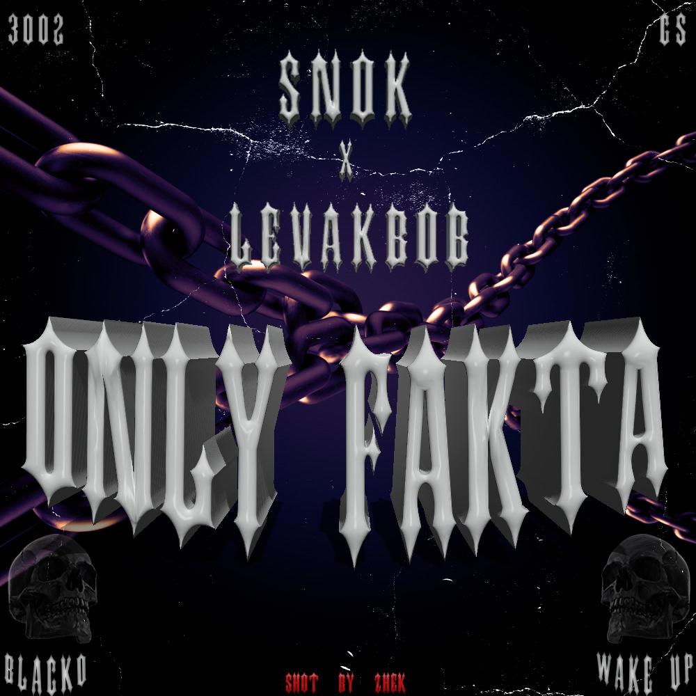 Only Fakta (feat. LevakBob) (Explicit)