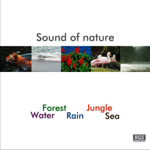 收聽Natural Sound的Jungla歌詞歌曲