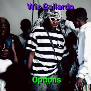 Wiz Gallardo的專輯Options