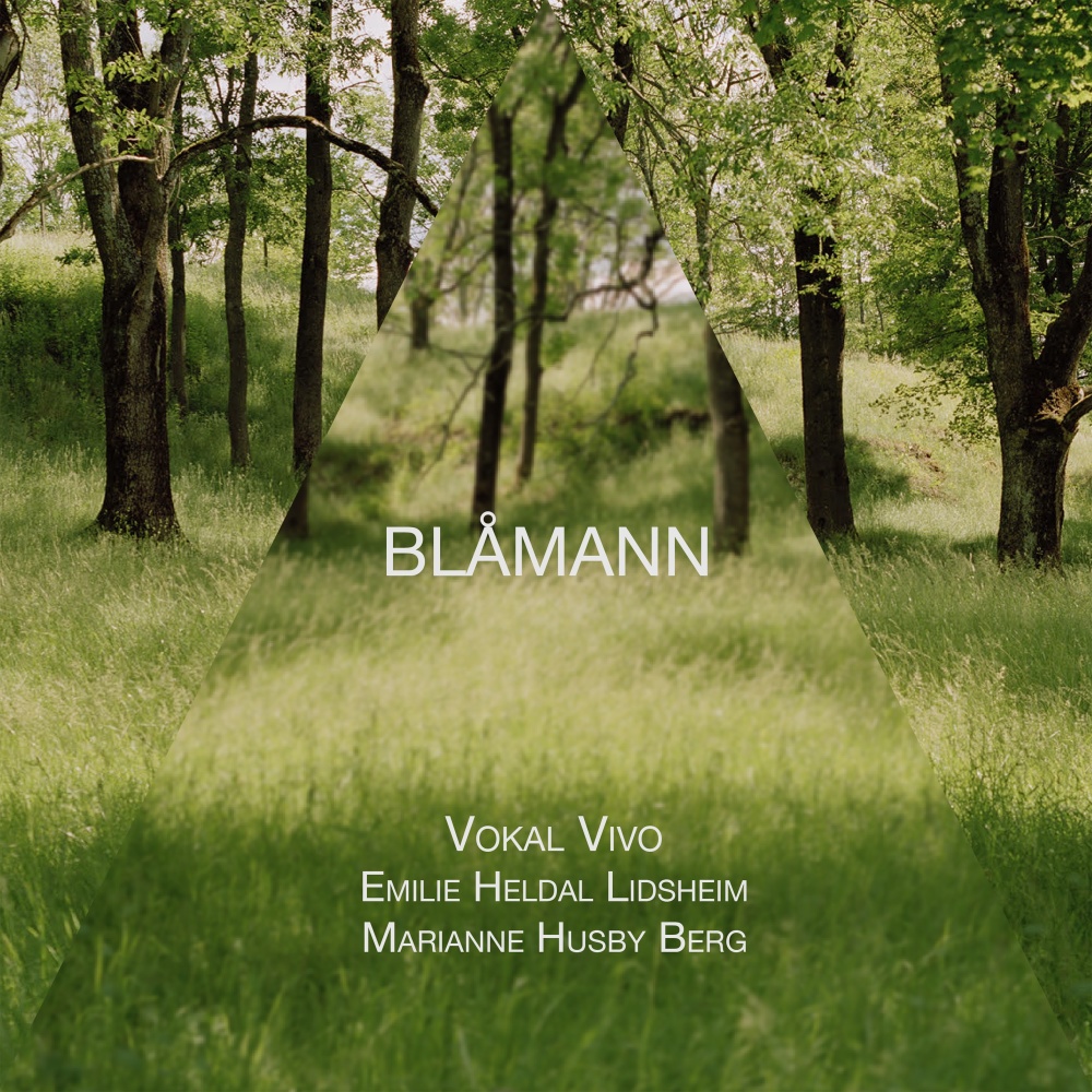 Blåmann