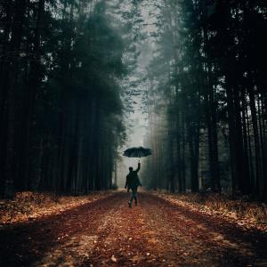 Novembre的專輯In Ogni Mia Poesia
