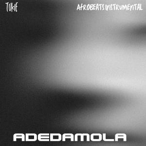 收聽Tukie的Adedamola (Afrobeats Instrumental)歌詞歌曲
