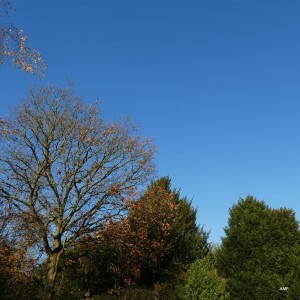 收聽Tim Thornton的Chilean Pavilion歌詞歌曲