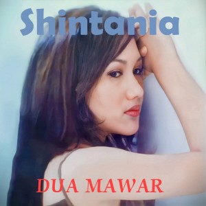 Album Dua Mawar from Shintania
