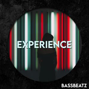 Listen to Experience song with lyrics from Bassbeatz