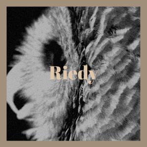 Dengarkan lagu Callback From nyanyian Parkas Bhen dengan lirik