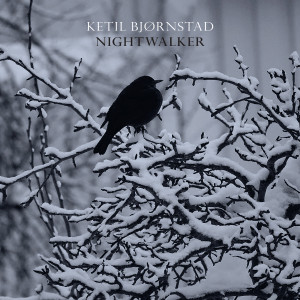 Listen to UNDERSTANDING song with lyrics from Ketil Bjørnstad