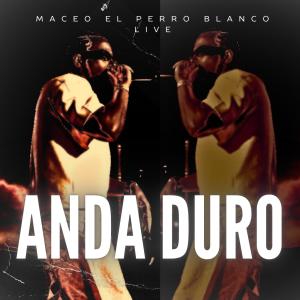 收聽maceo el perro blanco live的anda duro (live)歌詞歌曲