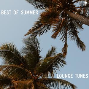 Album Best of Summer Lounge Tunes oleh Various Artists