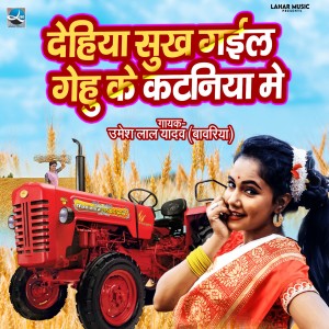 Listen to Dehiya Sukh Gail Gehu Ke Kataniya Me song with lyrics from Umesh Lal Yadav