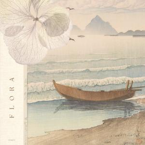 ดาวน์โหลดและฟังเพลง oak tree พร้อมเนื้อเพลงจาก mangoes