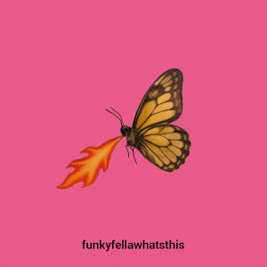 Album What's This? from Funky Fella