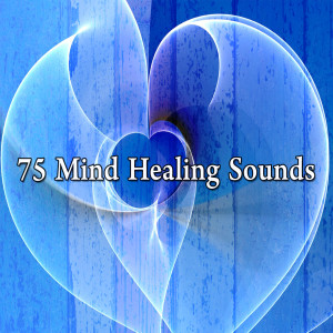 收聽Meditation Spa的Outer Body歌詞歌曲