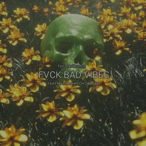 ดาวน์โหลดและฟังเพลง Bad Vibes พร้อมเนื้อเพลงจาก Tayler Prouse