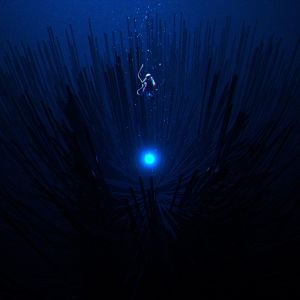 Listen to darksider song with lyrics from Felixxx