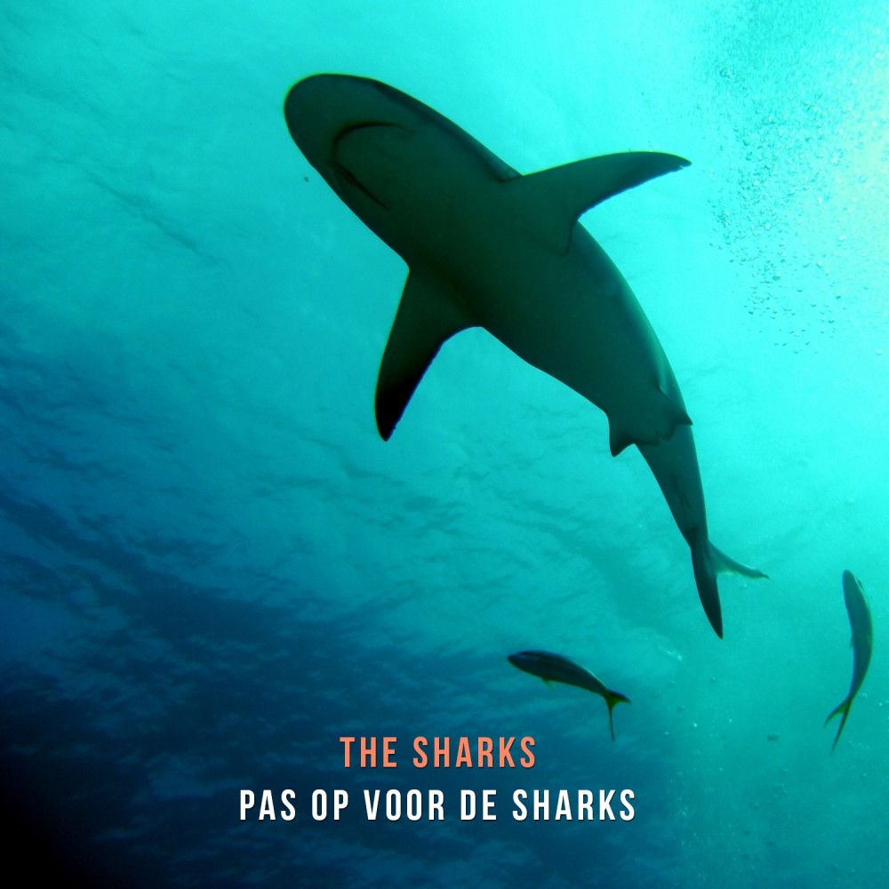 Pas Op Voor De Sharks