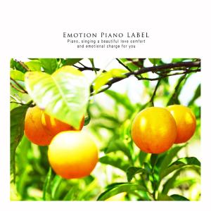 อัลบัม Piano of calm sensitivity for the examinee's study ศิลปิน Various Artists