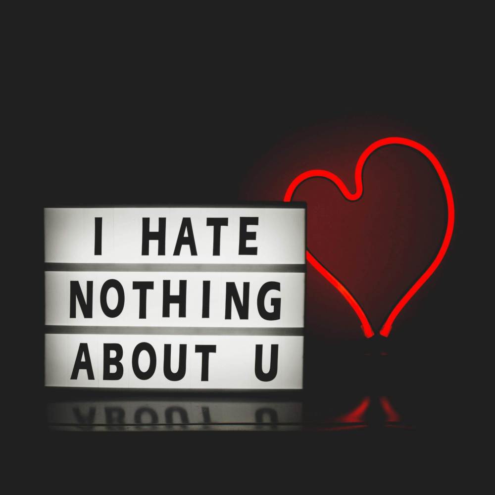 I HATE NOTHING ABOUT YOU (Explicit)