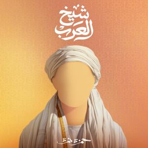 收听Hamza Namira的Shiekh El Arab歌词歌曲