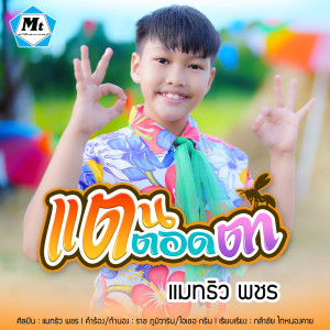 ดาวน์โหลดและฟังเพลง แตนตอดตา พร้อมเนื้อเพลงจาก แมทธิว พชร