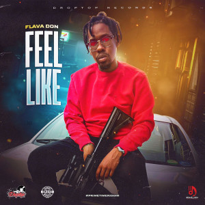 ดาวน์โหลดและฟังเพลง Feel Like (Explicit) พร้อมเนื้อเพลงจาก Flava Don