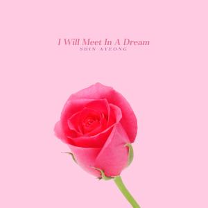 I Will Meet In A Dream dari Shin Ayeong