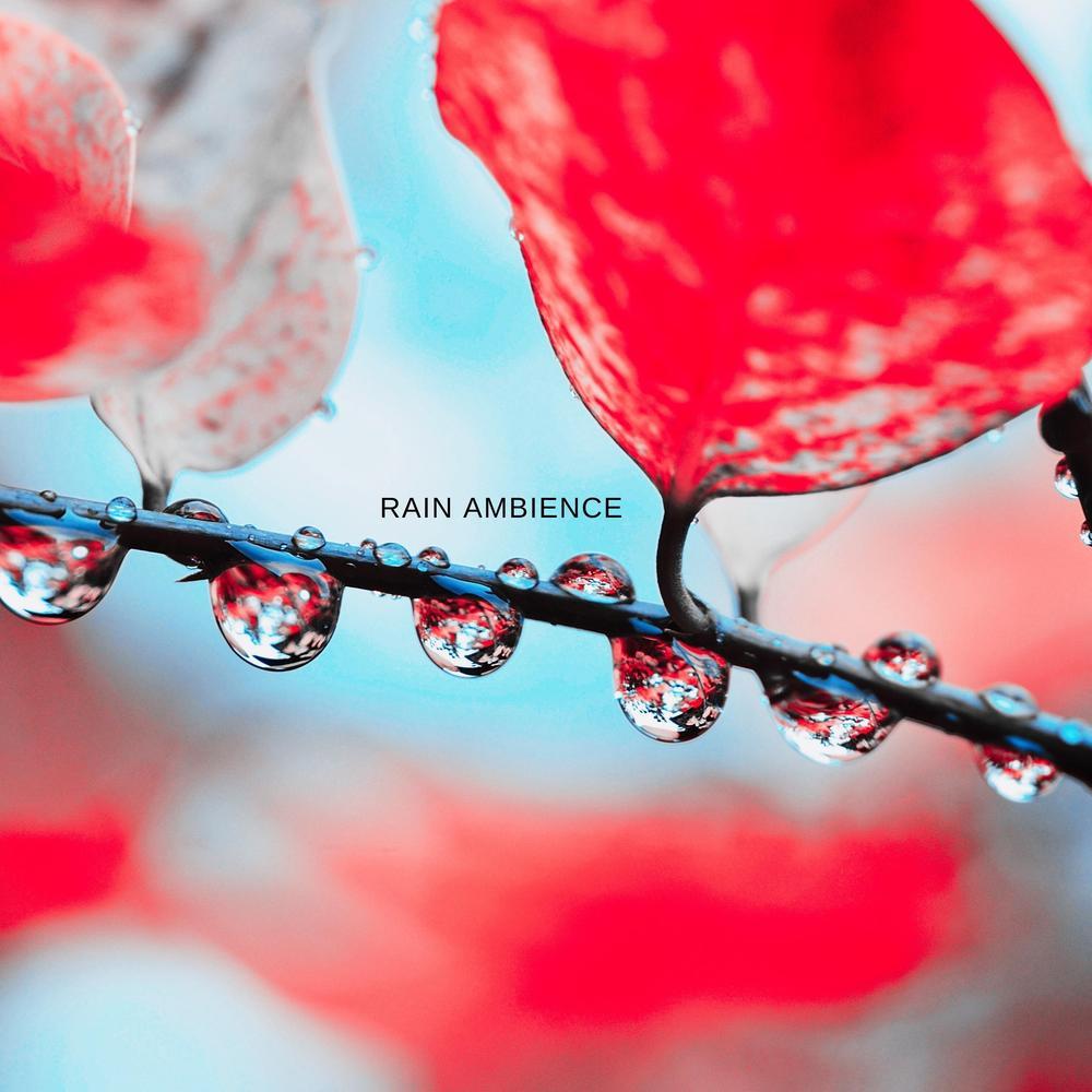 Rain FX Noise