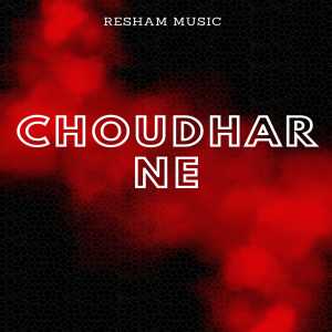 Swara Verma的专辑Choudhar Ne