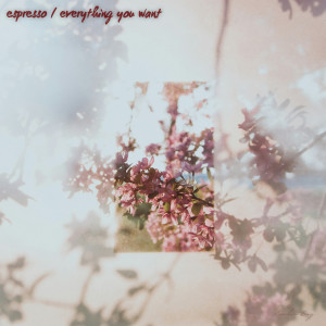 Listen to Espresso / Everything You Want song with lyrics from Landen Day
