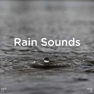 收聽Meditation Rain Sounds的Rain Sound歌詞歌曲