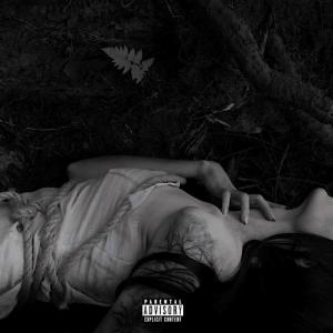 Fades的專輯My Way (12am) [Explicit]