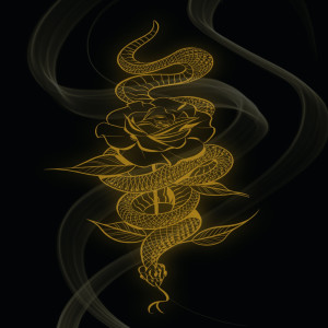 Listen to Dulce Veneno (其他) song with lyrics from Double C