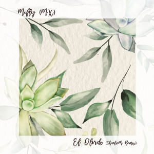 ดาวน์โหลดและฟังเพลง El Olvido (Dr Parnassus Remix) พร้อมเนื้อเพลงจาก Mcfly (MX)