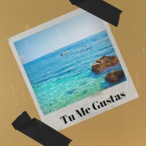 Listen to Tu Me Gustas song with lyrics from Benny More