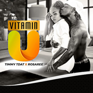 Album Vitamin U from Timmy Tdat