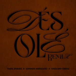 Listen to DESOLÉ (Remix) song with lyrics from Antonio Hernandez