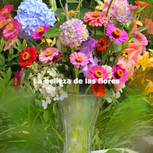 Album La belleza de las flores oleh Café Lounge