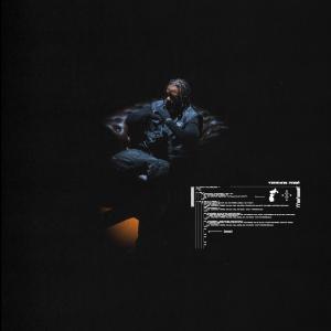 อัลบัม Terrain miné (Explicit) ศิลปิน Lefa