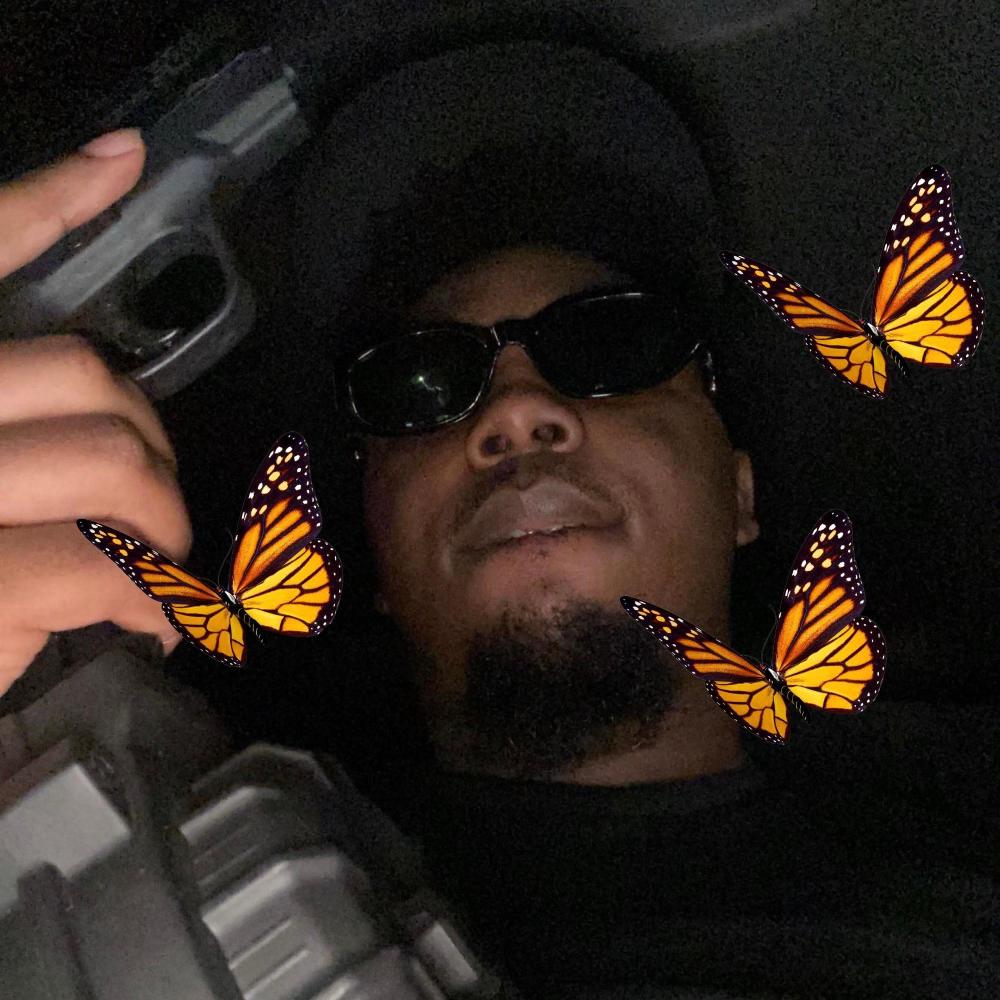 Butterfly Effect (Explicit)