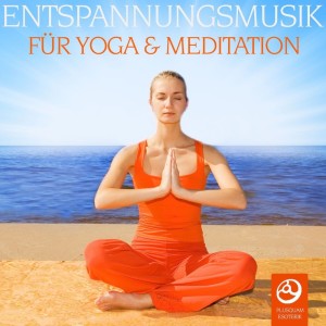 Album Entspannungsmusik fuer Yoga und Meditation from Mind Honey